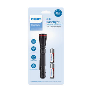 Svítilna LED PHILIPS SFL1001P/10