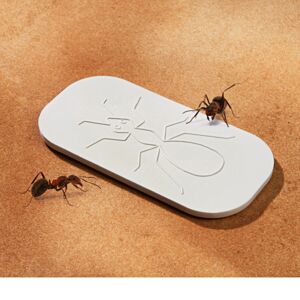 Deska proti mravencům